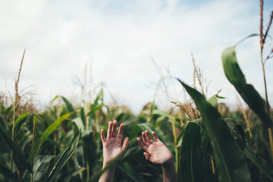 Simple Tips to Live an Eco-Friendly Lifestyle