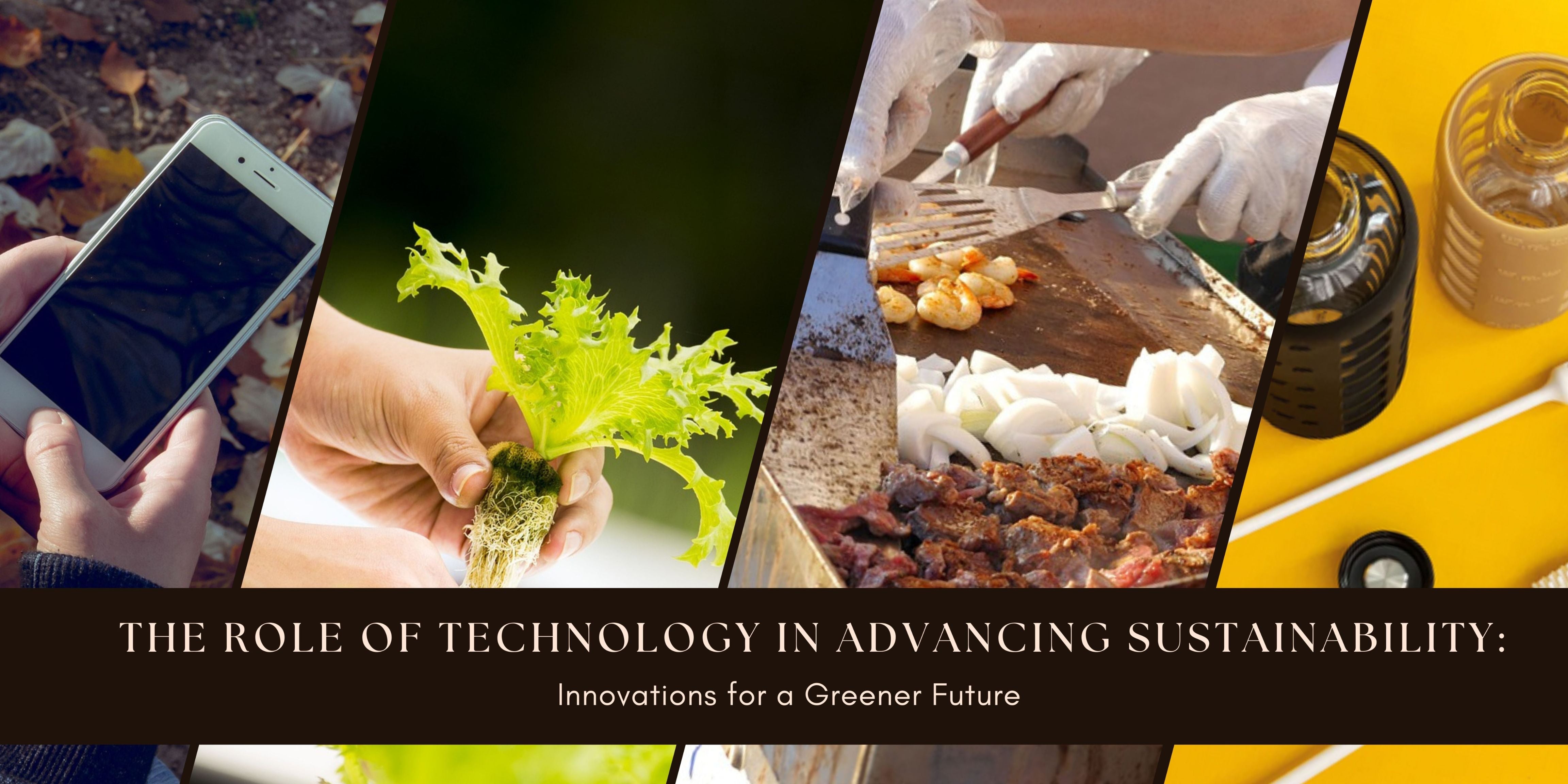 Sustaining Technology Example The Role of Technology in Advancing Sustainability: – Purifyou