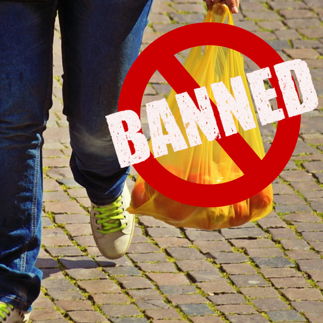 Disposable Plastic Ban