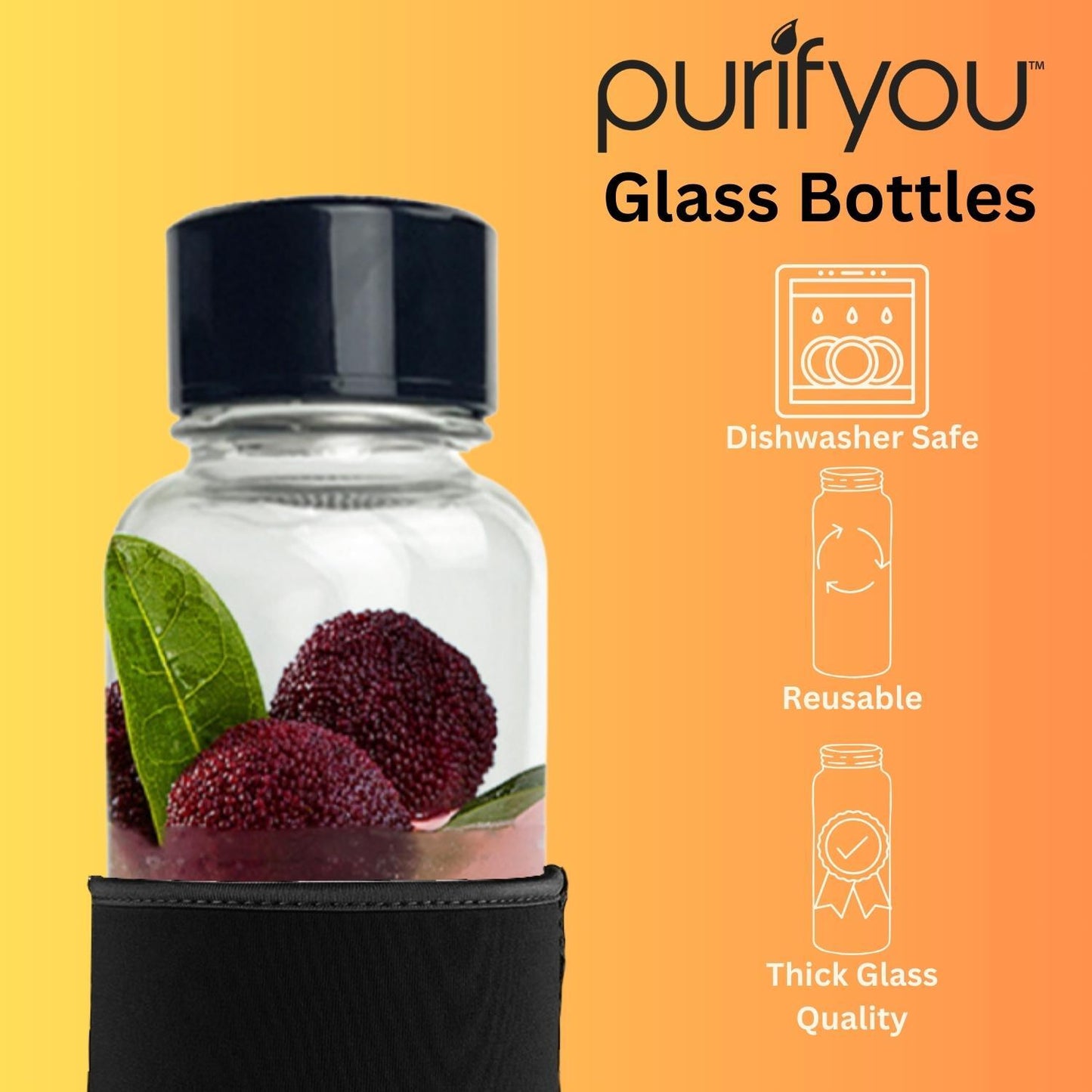 6 Pack Clear Glass Bottles with Infuser, Neoprene Sleeves, & Lid (32oz –  Purifyou